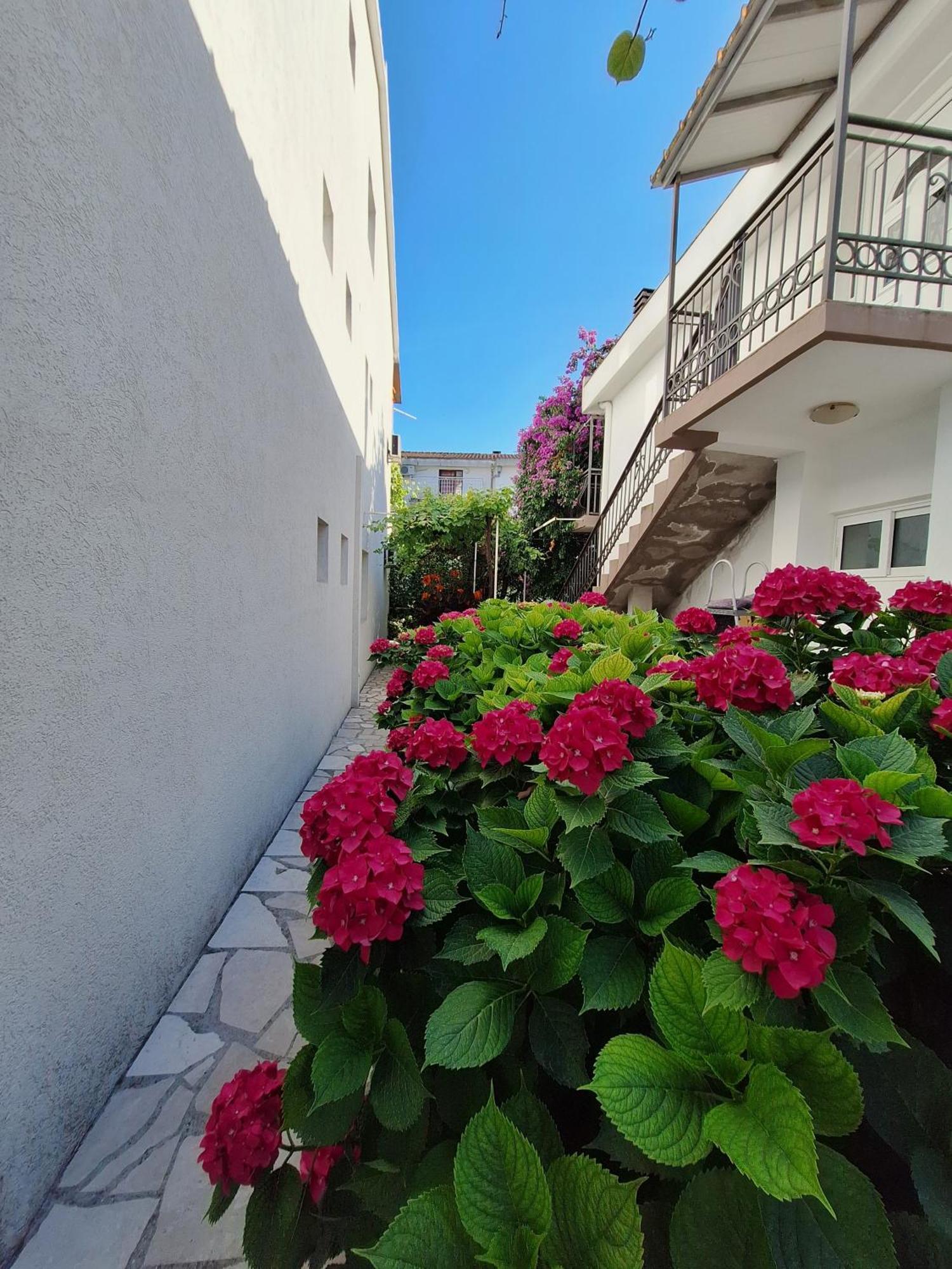 Apartmani Hortenzija Budva Luaran gambar
