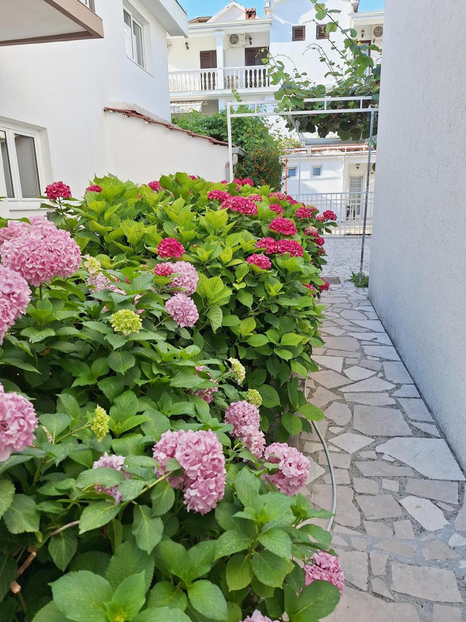 Apartmani Hortenzija Budva Luaran gambar