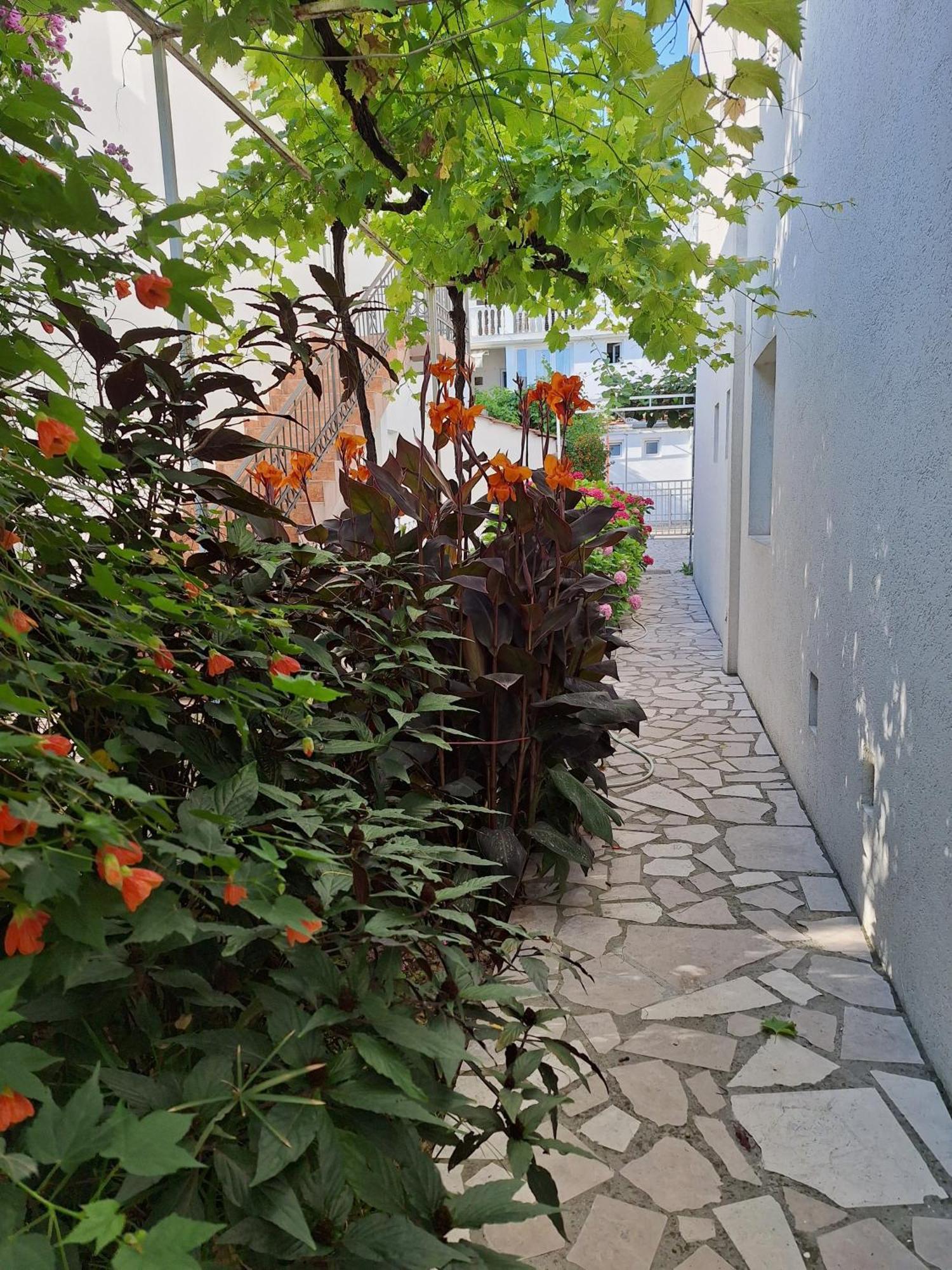 Apartmani Hortenzija Budva Luaran gambar