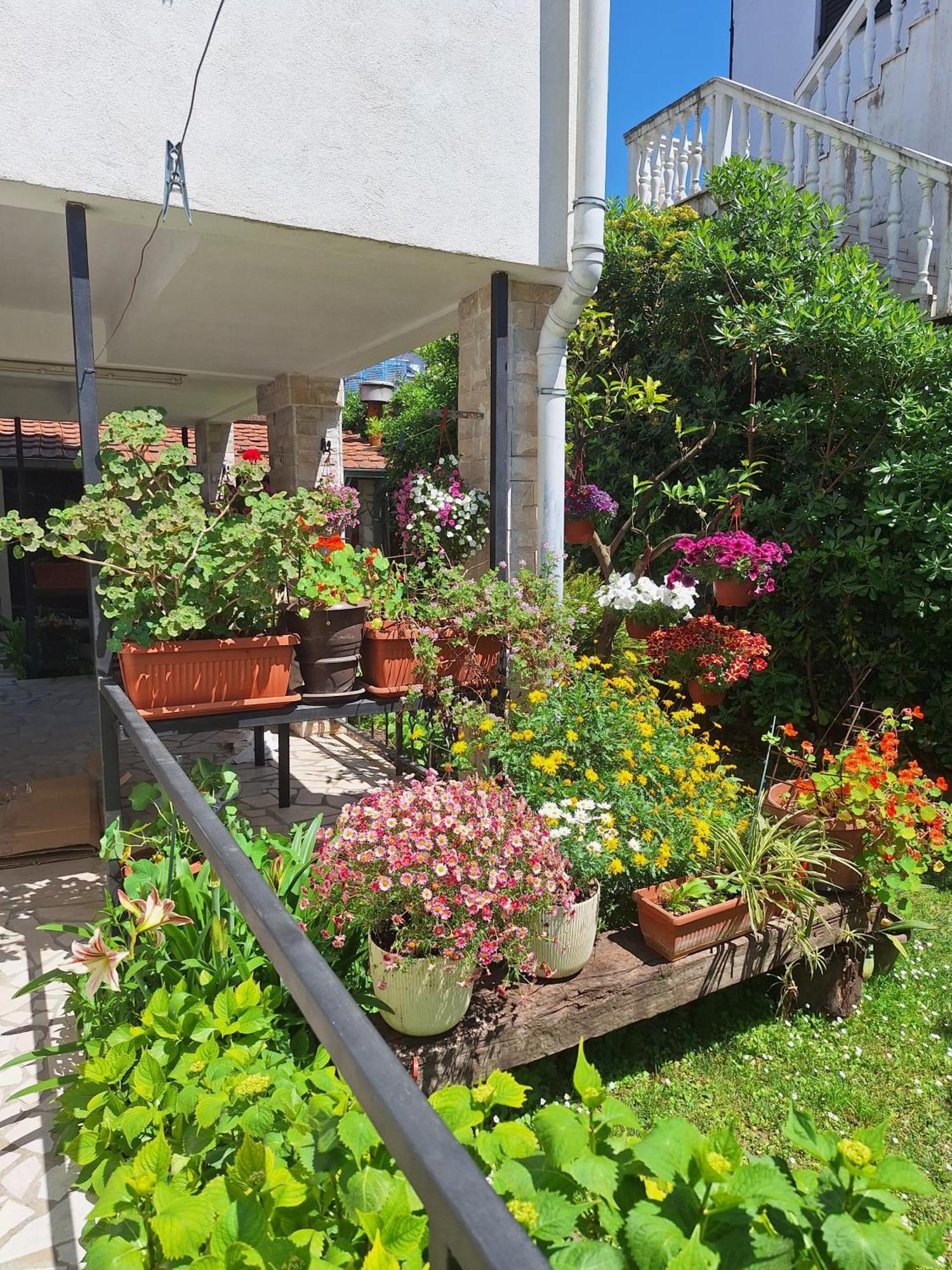 Apartmani Hortenzija Budva Luaran gambar